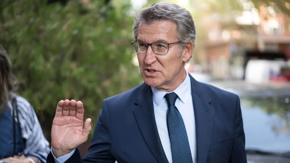 L&iacute;der de PP, Alberto N&uacute;&ntilde;ez Feij&oacute;o