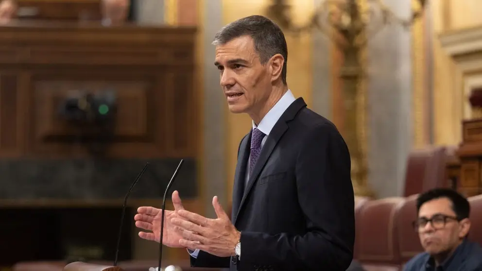 Pedro S&aacute;nchez, durante su comparecencia en el Congreso de los Diputados