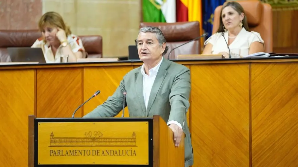 Antonio Sanz, durante su comparecencia en el Parlamento andaluz