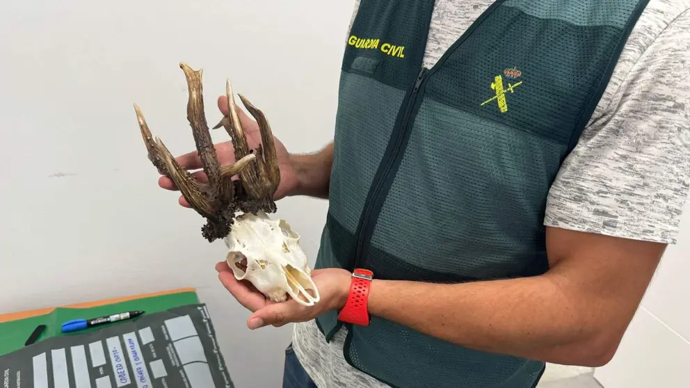 Un agente de la Guardia Civil