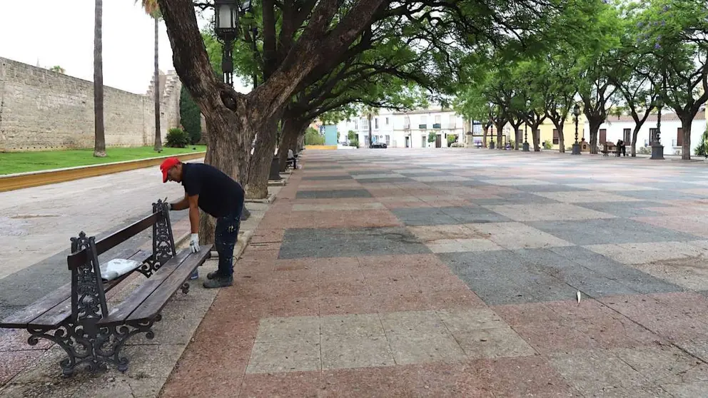 Operarios trabajando en la Alameda Vieja