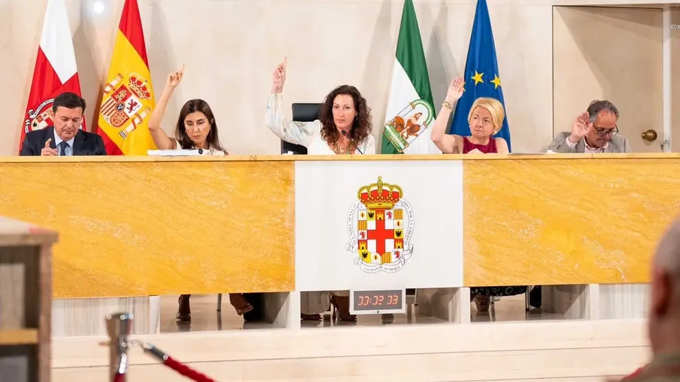 Mar&iacute;a del Mar V&aacute;zquez, durante un pleno en el Ayuntamiento de Almer&iacute;a