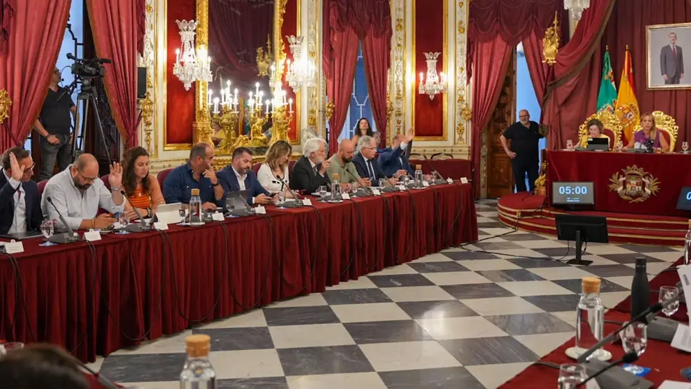 Imagen del pleno celebrado en la Diputaci&oacute;n de C&aacute;diz