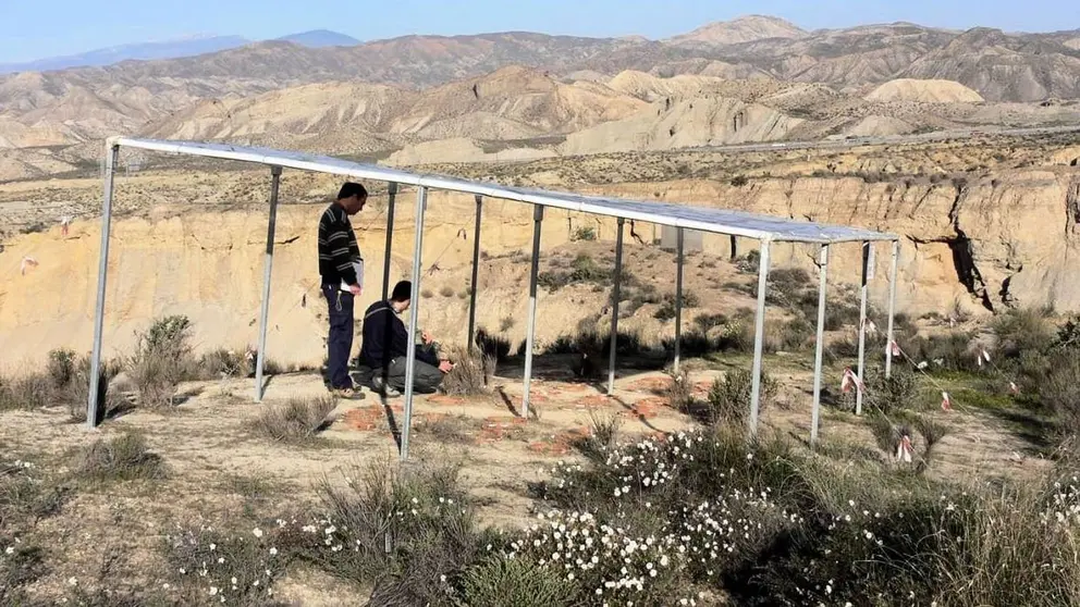 Andaluc&iacute;a vuelve a marcar el camino en Espa&ntilde;a en la lucha contra el cambio clim&aacute;tico