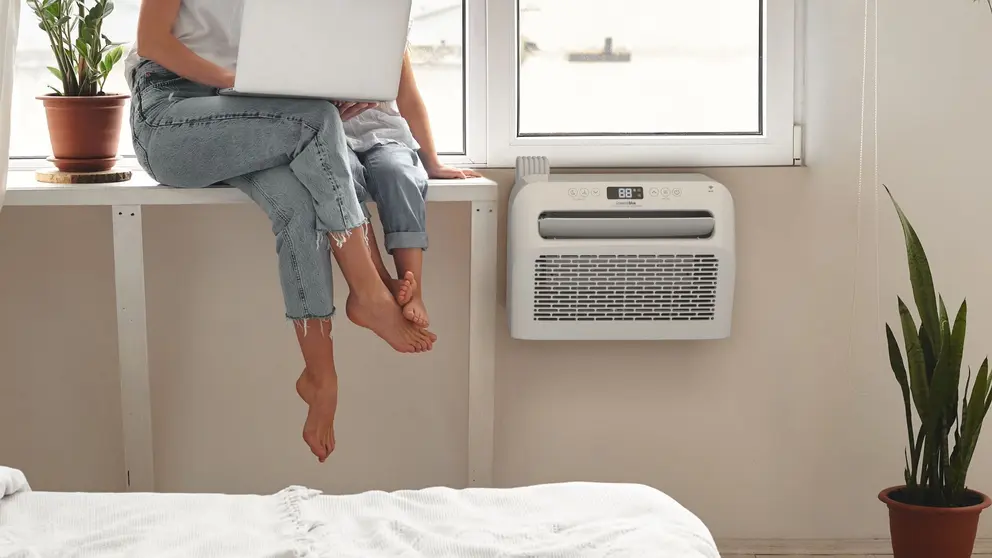 Aire acondicionado port&aacute;til