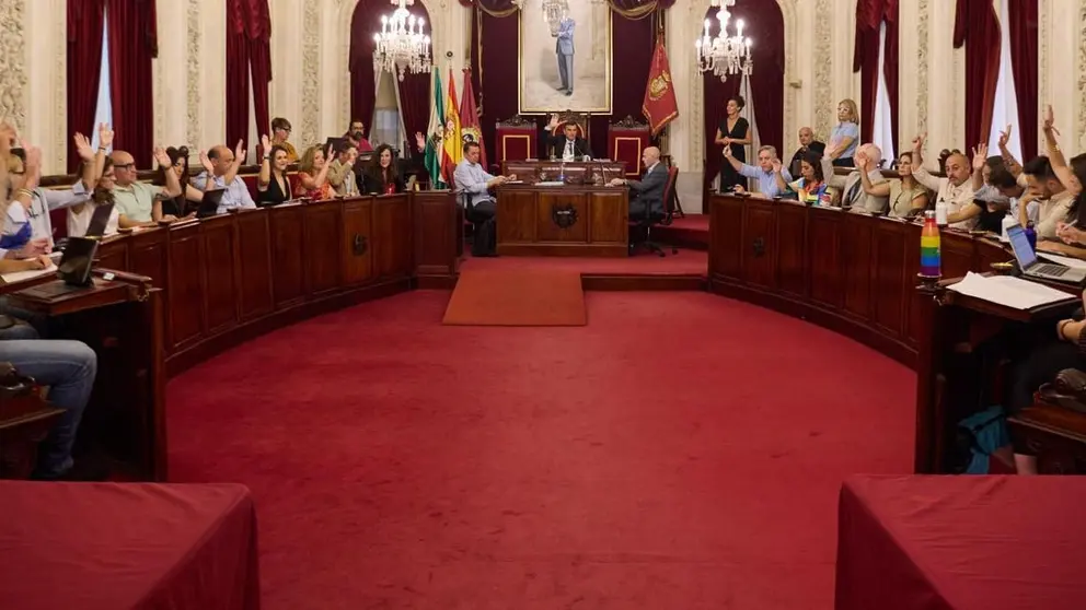 Imagen de la celebraci&oacute;n del Pleno en el Ayuntamiento de C&aacute;diz