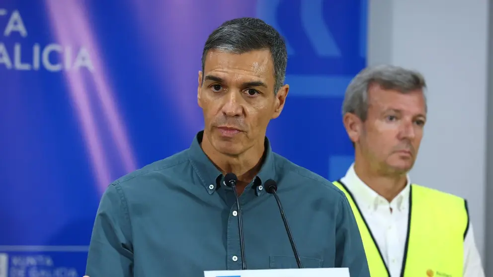 El presidente del Gobierno, Pedro S&aacute;nchez