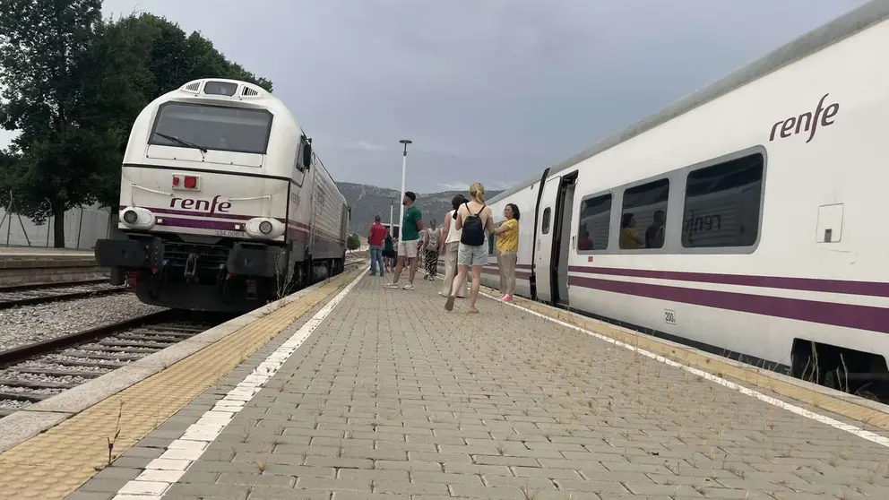 Trenes en una estaci&oacute;n