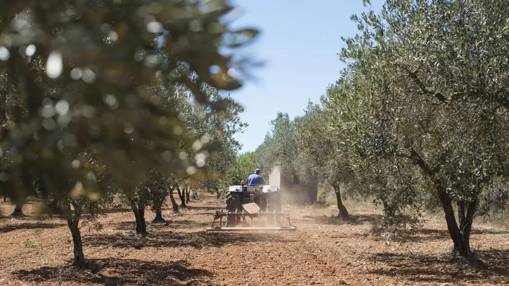 Andaluc&iacute;a ha mostrado su rechazo frontal a la reforma de la PAC
