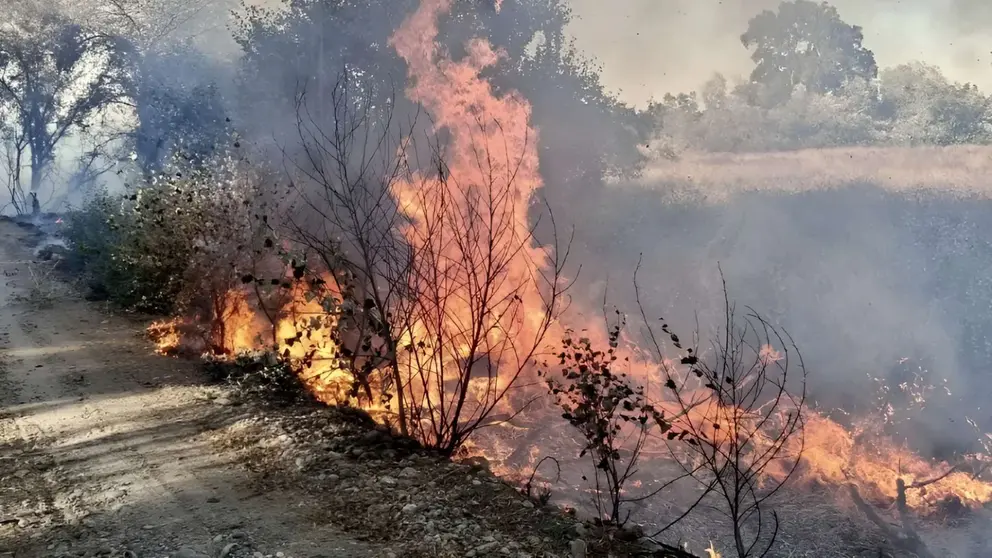 Incendio en la Finca Berlanguilla en Jerez | CBPC