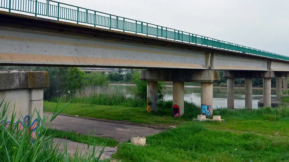 Las inmediaciones del lugar donde se produjo el hallazgo (1)