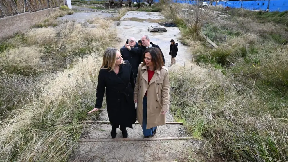 La zona en la que se construir&aacute;n las viviendas