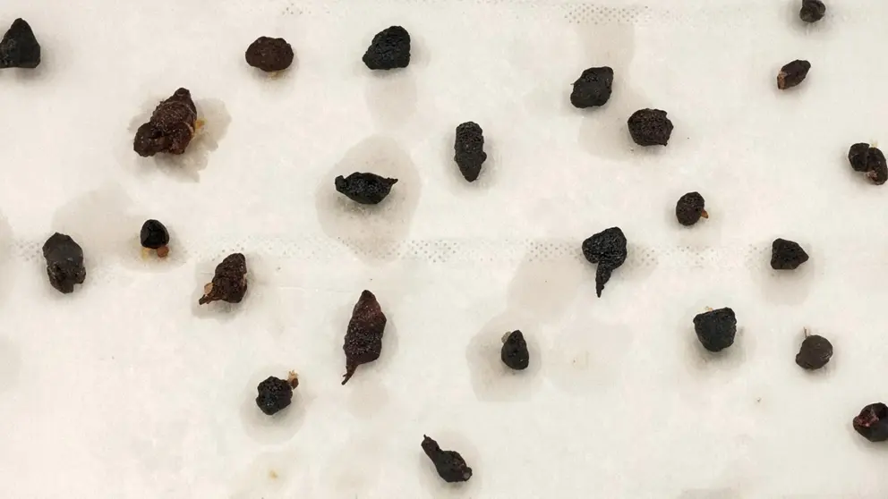 Trozos en la l&iacute;nea de fritura industrial de Productos Congelados Selectos 3000