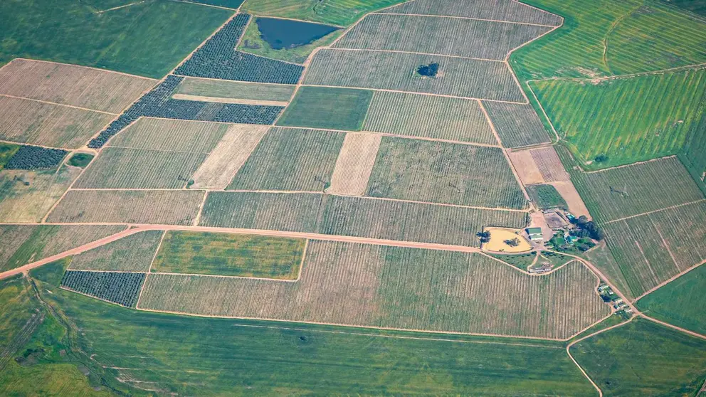 Suelo r&uacute;stico