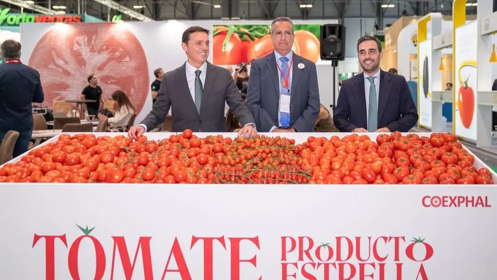 El tomate, uno de los productos estrella de Almer&iacute;a