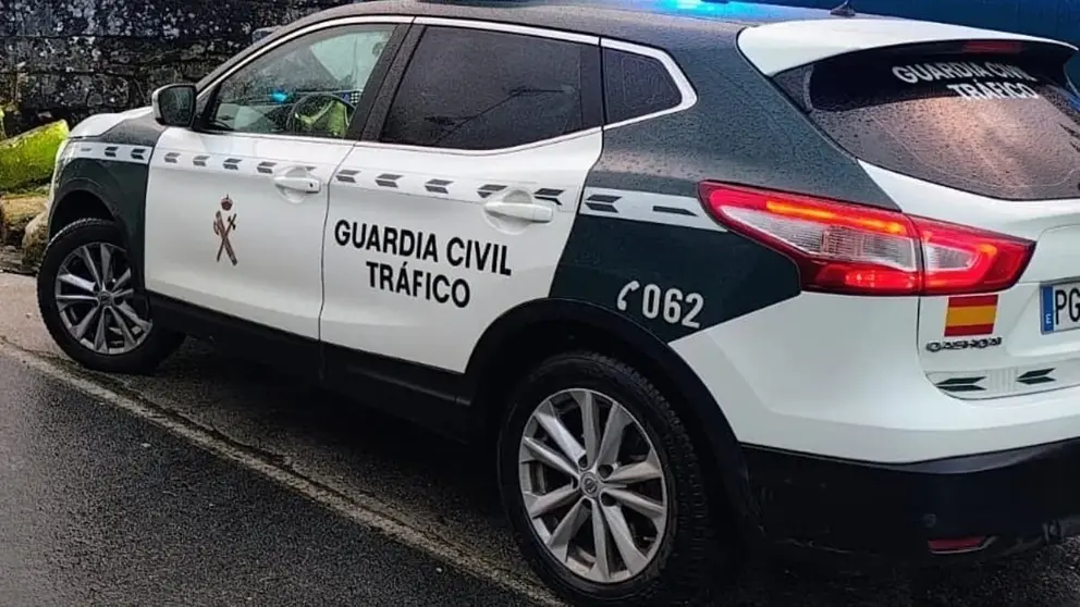 La Guardia Civil se encuentra al frente de la investigaci&oacute;n