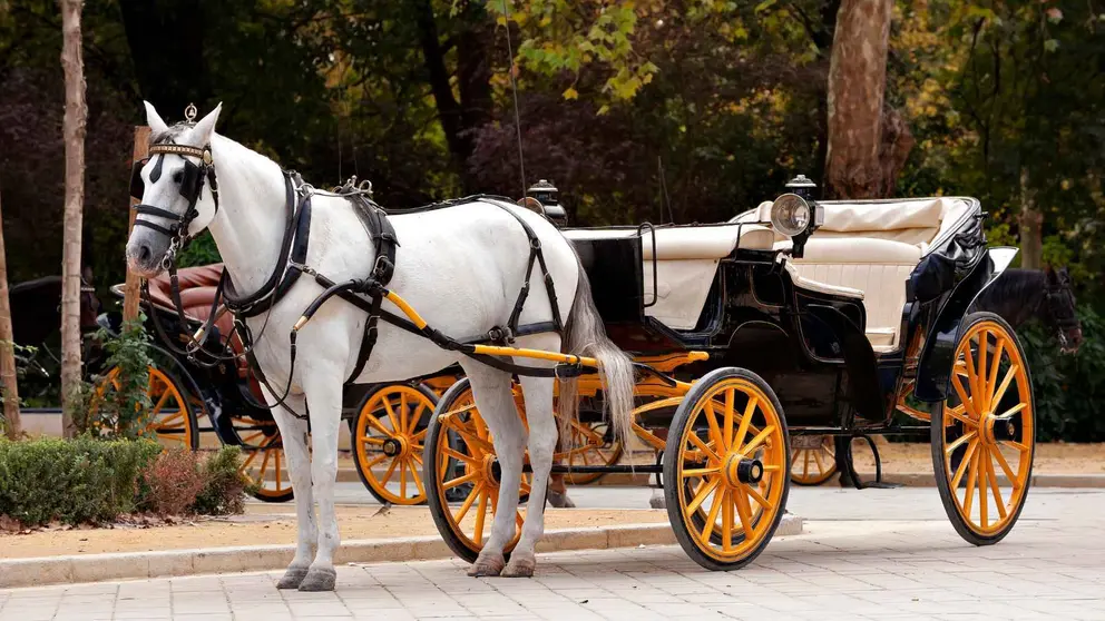 Coche de caballos