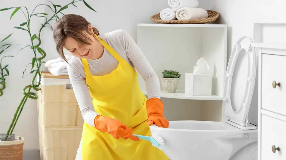 Productos de limpieza de Mercadona