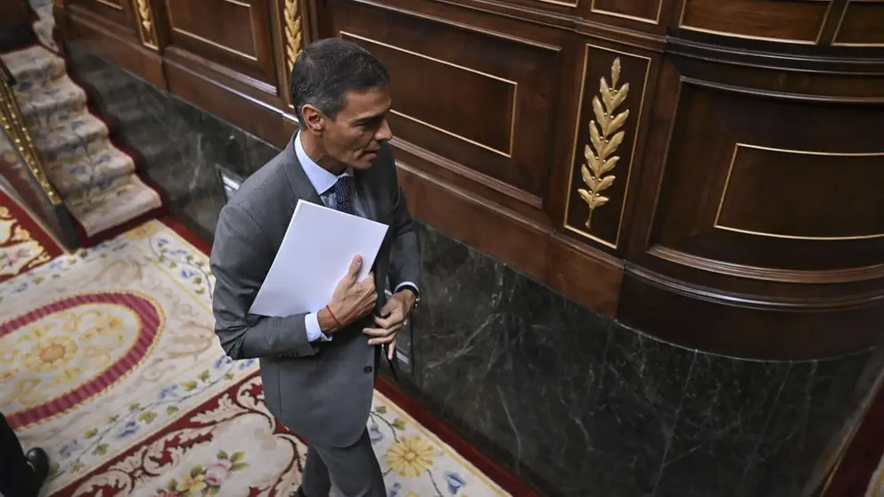 Pedro S&aacute;nchez, durante una comperecencia en el Congreso