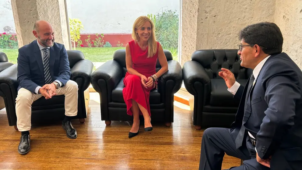 Almudena Mart&iacute;nez, presidenta de la Diputaci&oacute;n de C&aacute;diz, ha presidido el encuentro