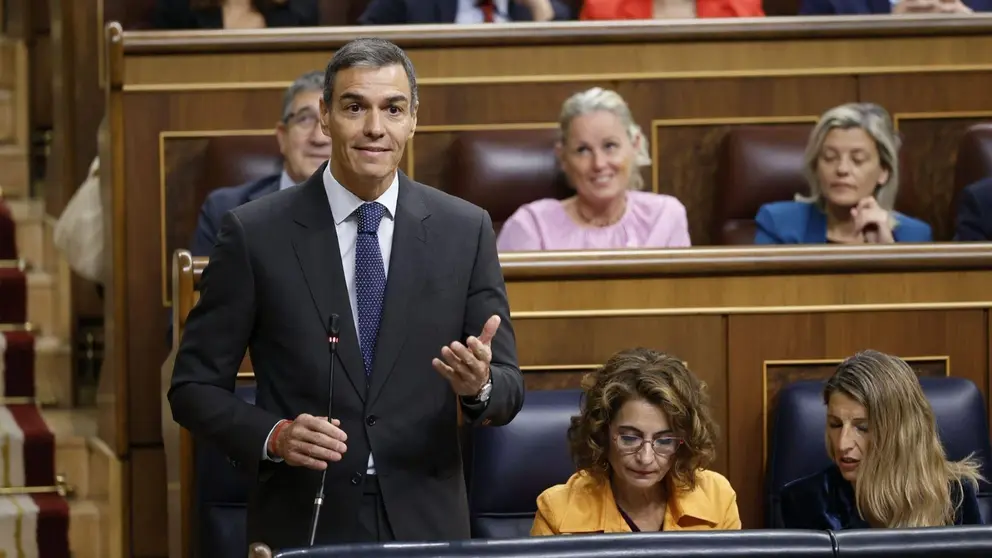 Pedro S&aacute;nchez en el Congreso