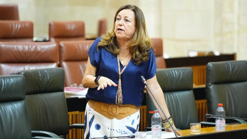 Mar&iacute;a del Carmen Castillo