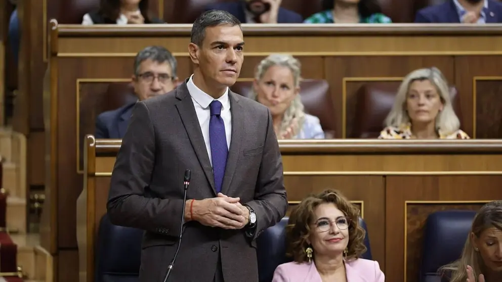 Pedro S&aacute;nchez en el Congreso