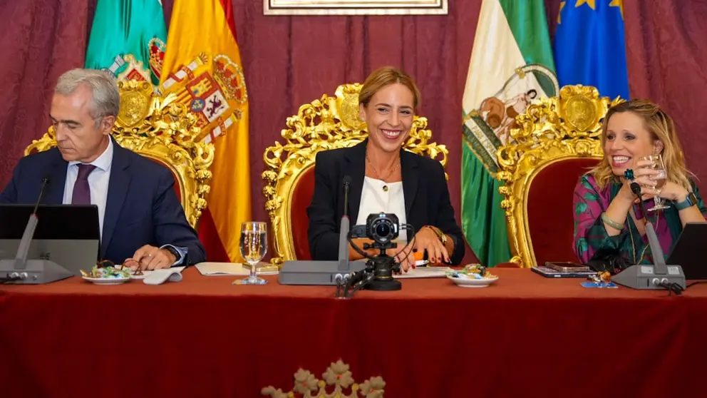 Almudena Mart&iacute;nez ha presidido la celebraci&oacute;n del pleno extraordinario de la Diputaci&oacute;n de C&aacute;diz