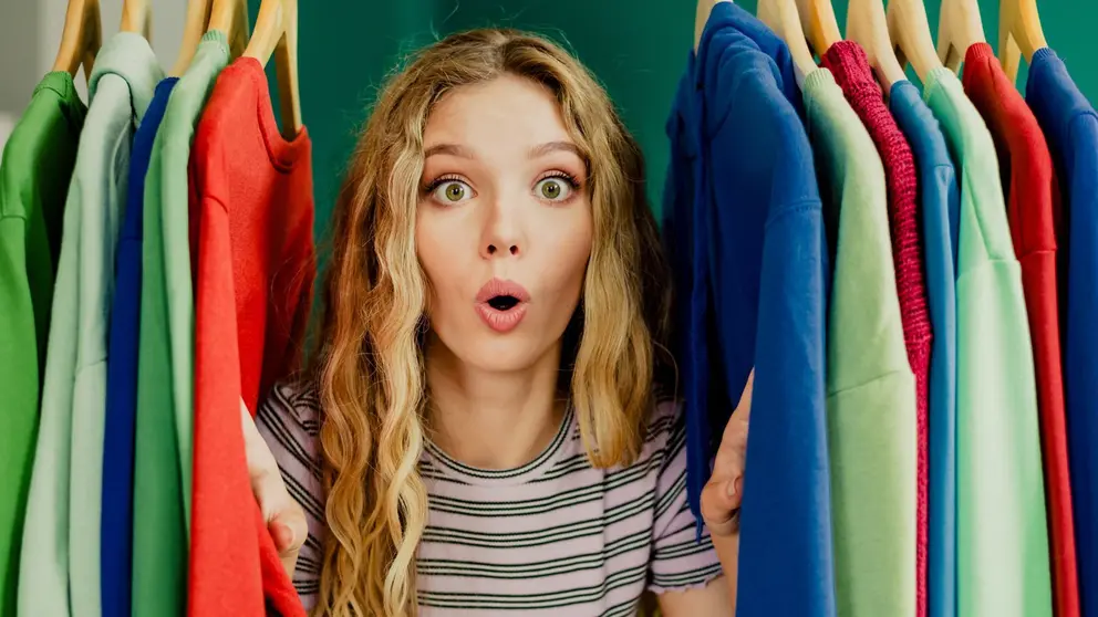 Organizador de armarios en Leroy Merlin