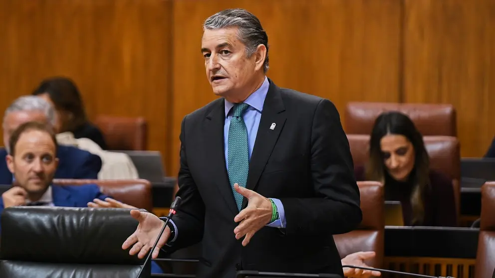 El consejero de Sanidad, Antonio Sanz, durante una intervenci&oacute;n en el Parlamento Andaluz | Salvador L&oacute;pez Medina