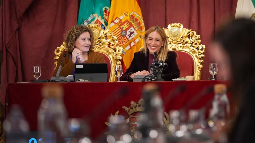 Almudena Mart&iacute;nez ha presidido la sesi&oacute;n plenaria en la Diputaci&oacute;n de C&aacute;diz