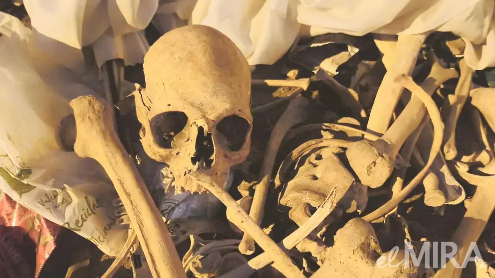 Huesos humanos encontrados en el pol&iacute;gono industrial El Portal, Jerez de la Frontera