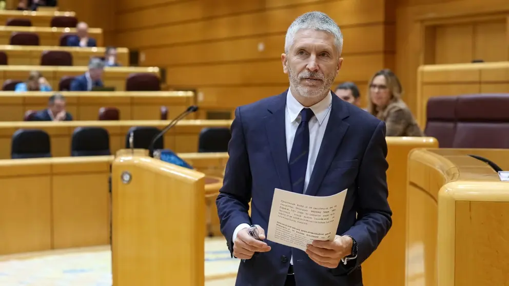 Fernando Grande-Marlaska