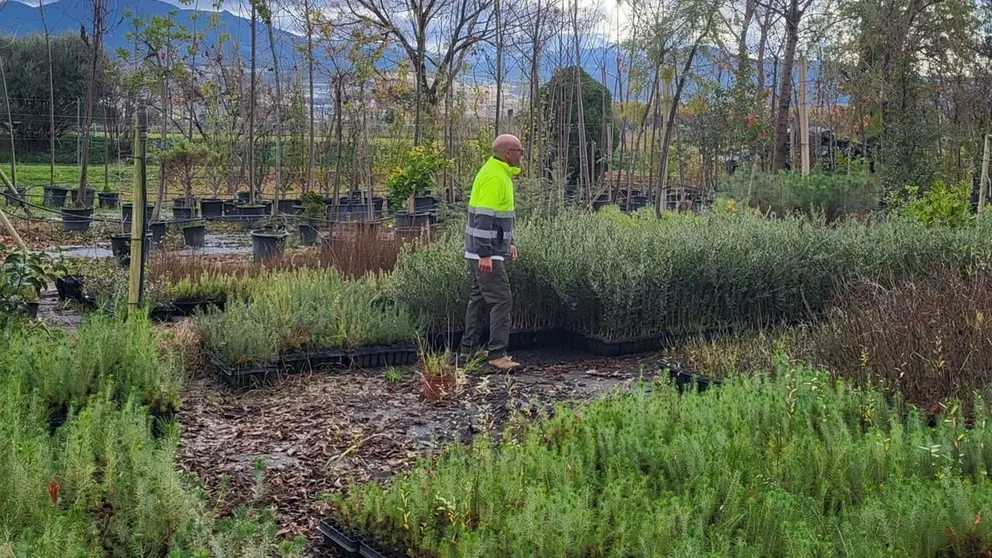 Imagen de una zona verde en Granada
