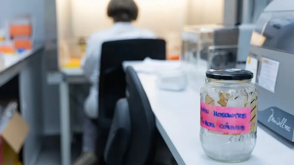 El Virus del Nilo ha mantenido en vilo a Sevilla