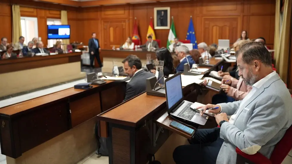 Celebraci&oacute;n de un pleno en el Ayuntamiento de C&oacute;rdoba (1)