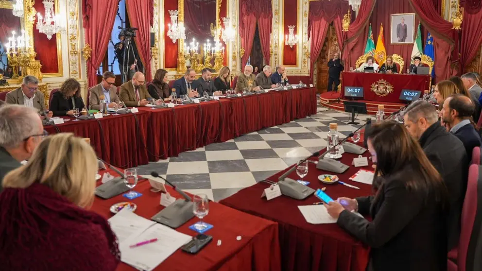 Pleno de diciembre de la Diputaci&oacute;n de C&aacute;diz