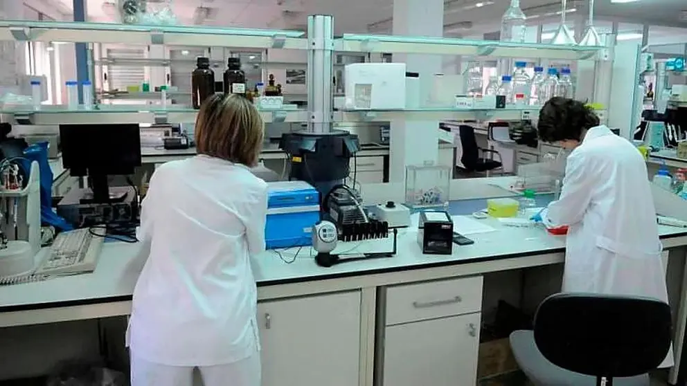 La investigaci&oacute;n, una actividad emergente en Andaluc&iacute;a