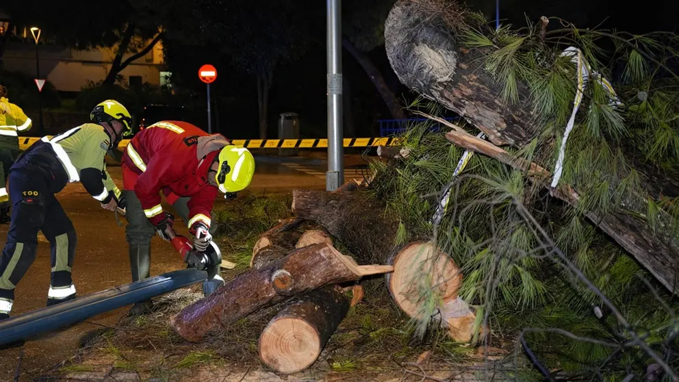 Temporal en Andaluc&iacute;a