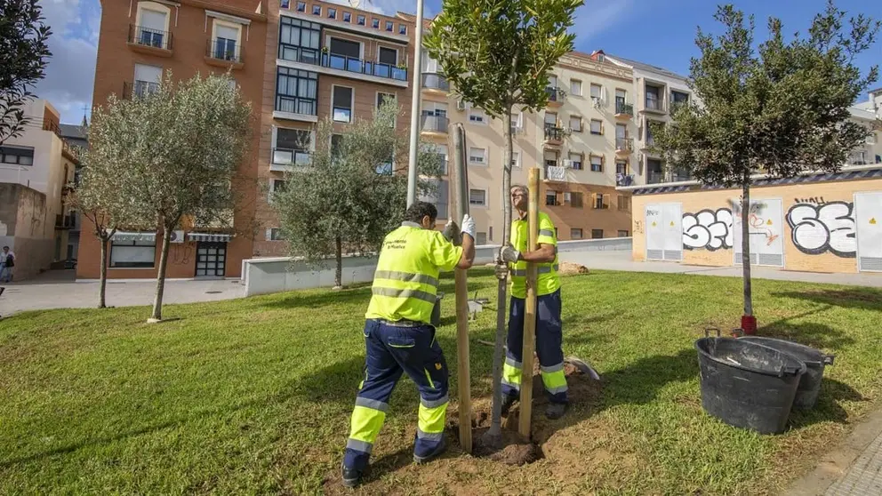 El Ayuntamiento de Huelva organiza el Primer Encuentro de Arboricultura Urbana