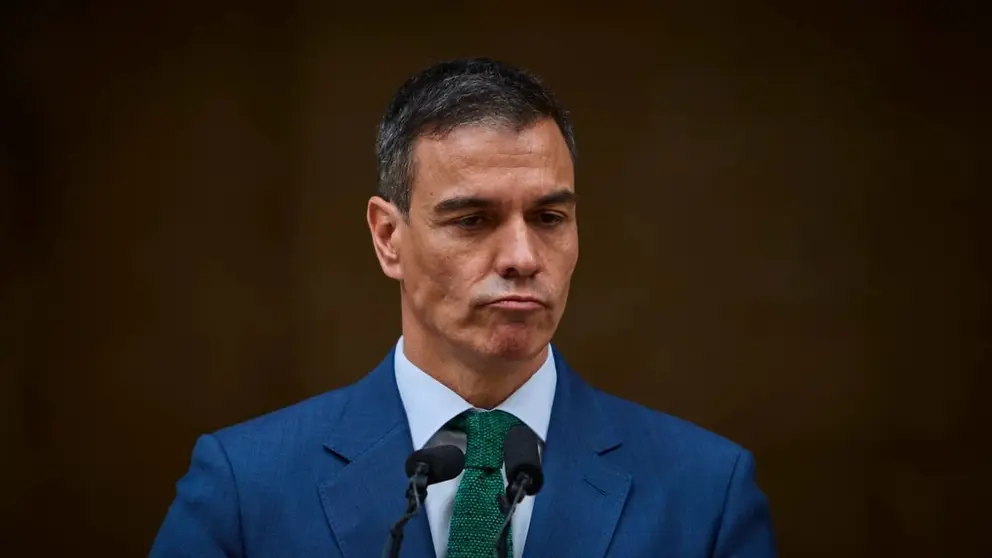 Pedro S&aacute;nchez, presidente del Gobierno de Espa&ntilde;a (12)