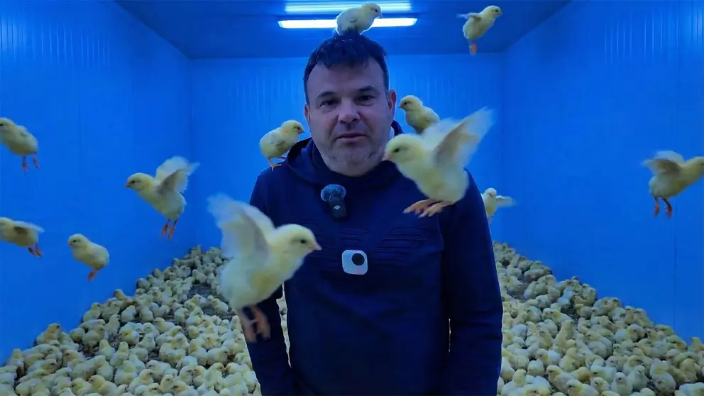 Jos&eacute; El&iacute;as visita la nueva f&aacute;brica de incabadoras de pollos en Sevilla