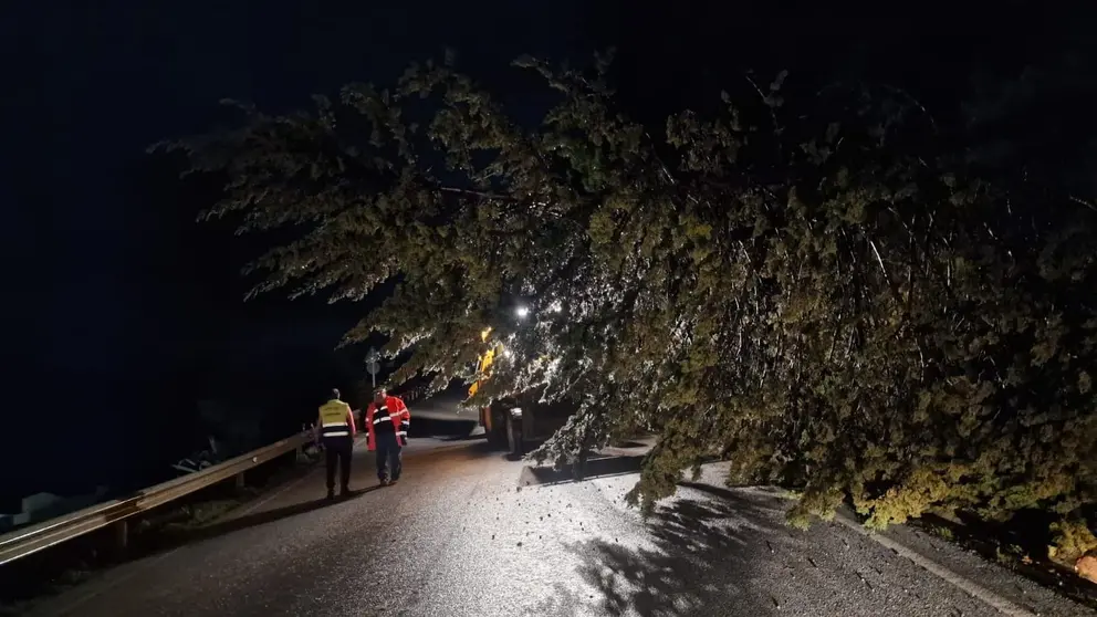 El temporal est&aacute; causando estragos en M&aacute;laga