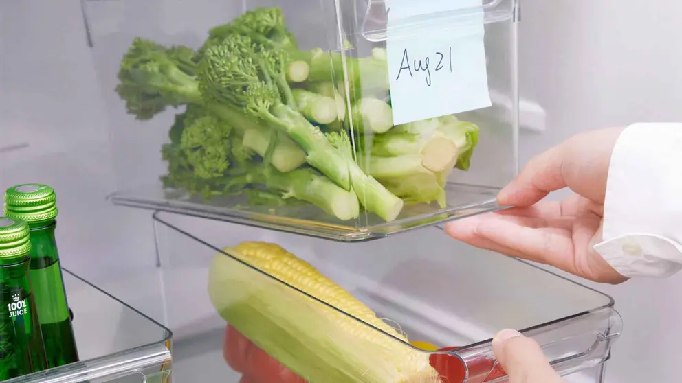 Caja KLIPPKAKTUS de Ikea