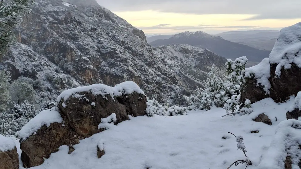 La nieve ha regresado a la Sierra de C&aacute;diz