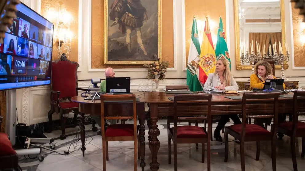 Almudena Mart&iacute;nez ha presidido un pleno que se ha celebrado de forma telem&aacute;tica