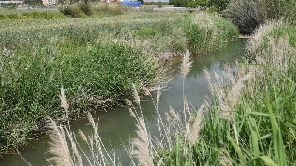 Imagen de archivo de una acequia
