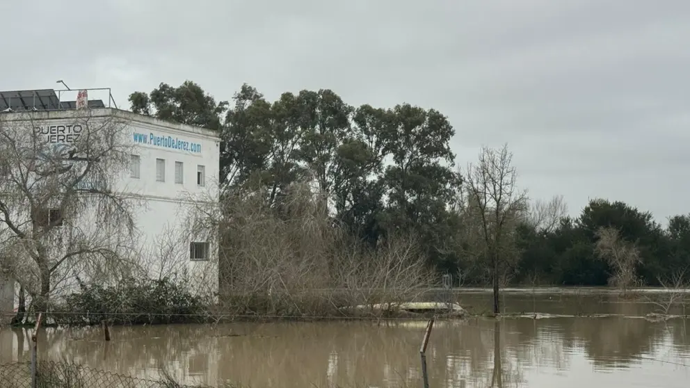 Estado del r&iacute;o Guadalquivir | El MIRA