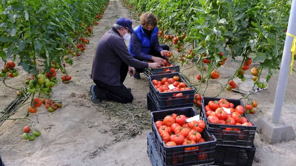 Agricultores andaluces se han visto beneficiados por las ayudas