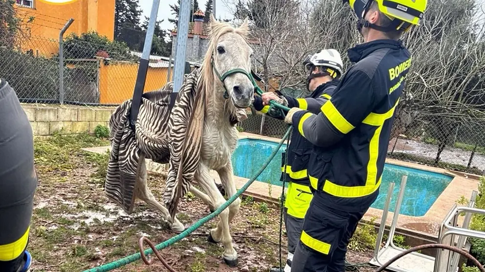 Rescate de un caballo